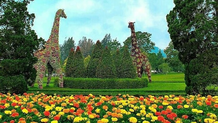 foto