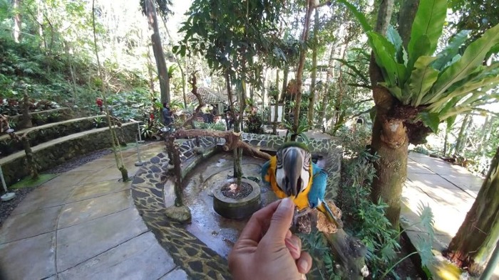 foto