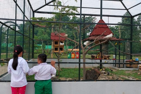 foto