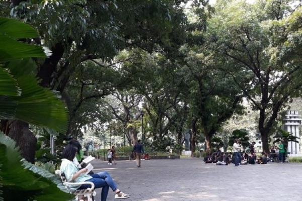 foto
