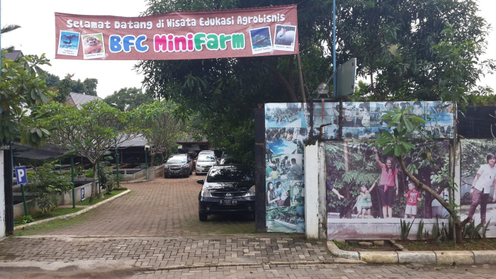foto