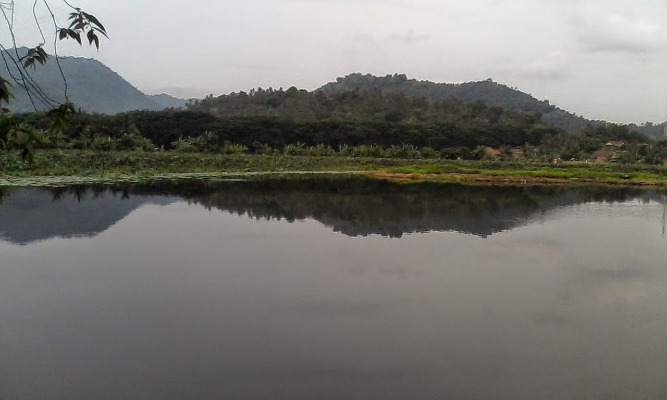 foto