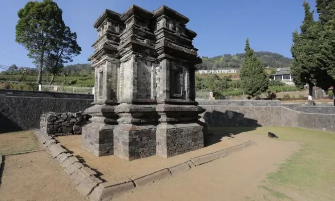 foto