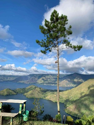 foto